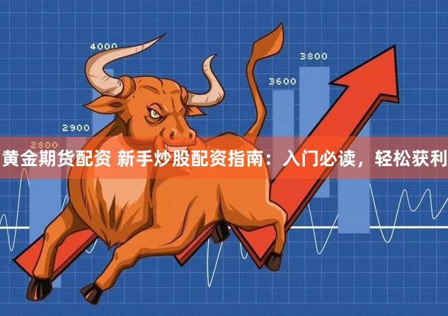 黄金期货配资 新手炒股配资指南：入门必读，轻松获利