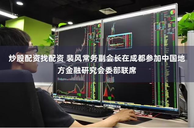 炒股配资找配资 裴风常务副会长在成都参加中国地方金融研究会委部联席