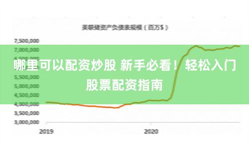哪里可以配资炒股 新手必看！轻松入门股票配资指南