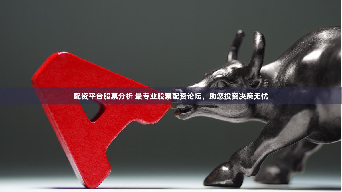 配资平台股票分析 最专业股票配资论坛，助您投资决策无忧
