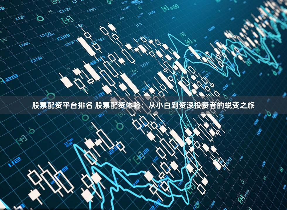 股票配资平台排名 股票配资体验：从小白到资深投资者的蜕变之旅