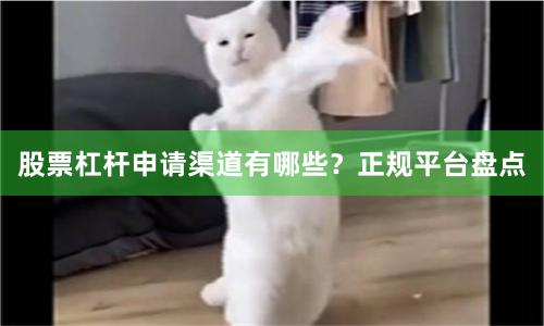 股票杠杆申请渠道有哪些？正规平台盘点