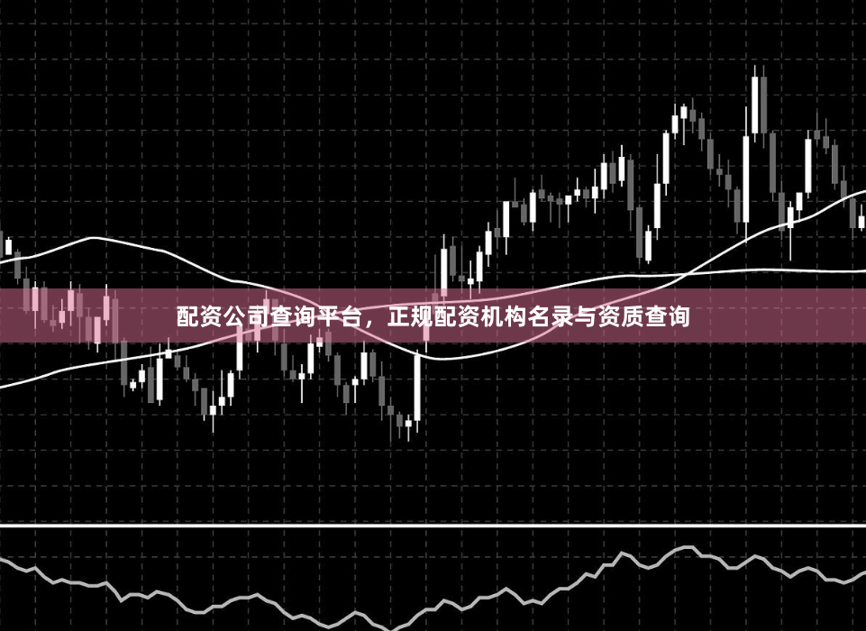 配资公司查询平台，正规配资机构名录与资质查询