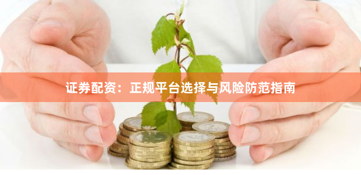 证券配资：正规平台选择与风险防范指南