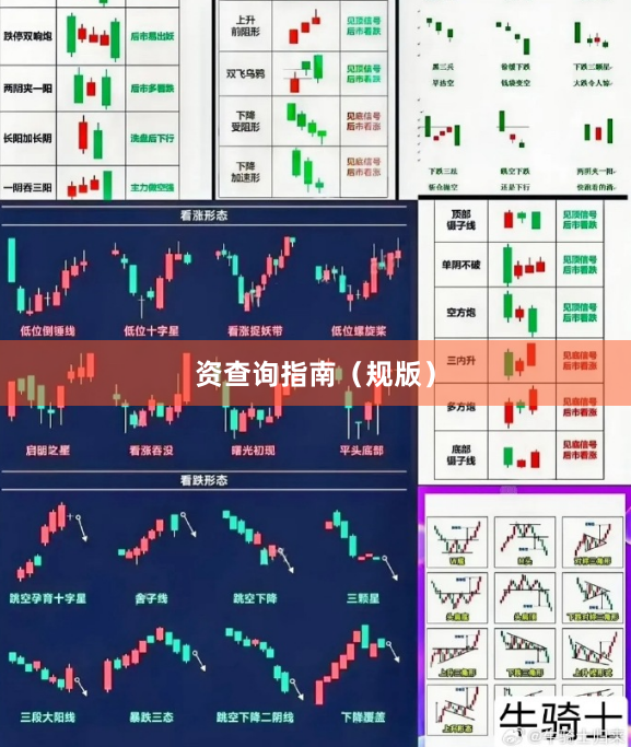 资查询指南（规版）